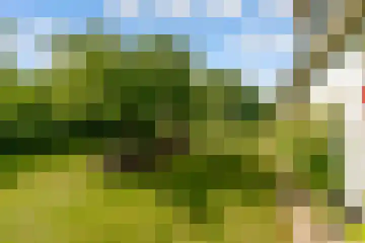 Oostrumsdijkje 3 Houten thumbnail 41