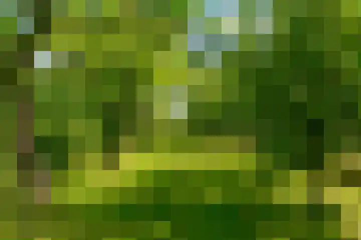 Oostrumsdijkje 3 Houten thumbnail 42