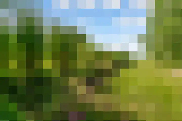 Oostrumsdijkje 3 Houten thumbnail 43