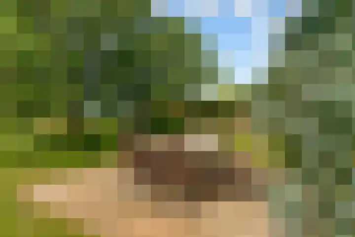 Oostrumsdijkje 3 Houten thumbnail 44