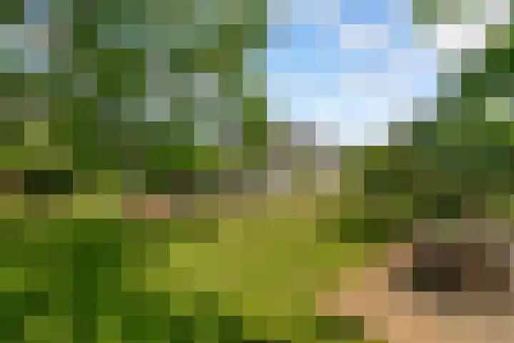 Oostrumsdijkje 3 Houten thumbnail 45