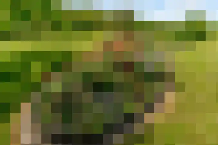 Oostrumsdijkje 3 Houten thumbnail 46