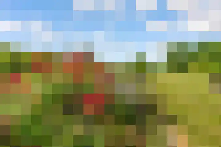 Oostrumsdijkje 3 Houten thumbnail 47