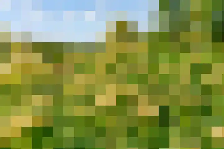 Oostrumsdijkje 3 Houten thumbnail 48