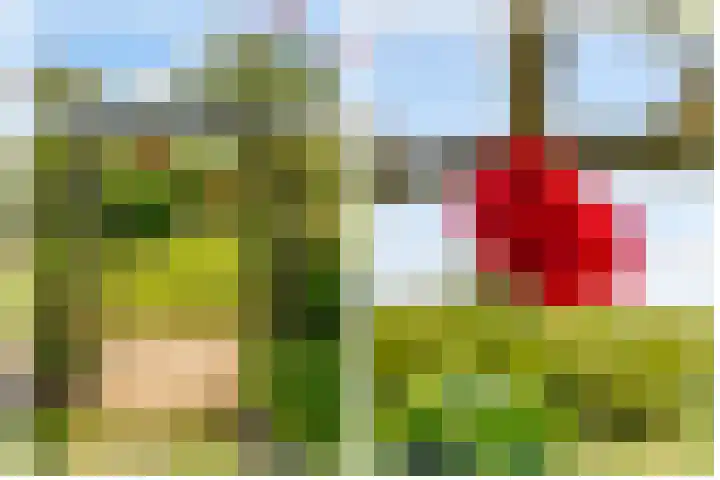 Oostrumsdijkje 3 Houten thumbnail 49