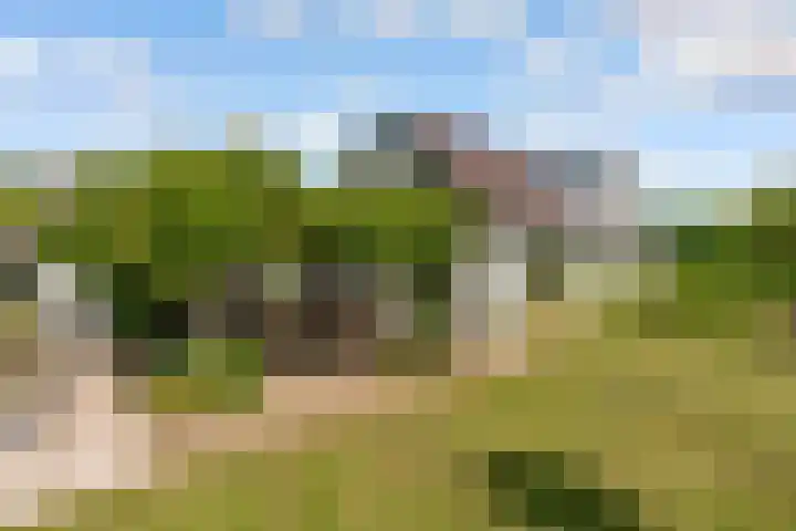 Oostrumsdijkje 3 Houten thumbnail 5