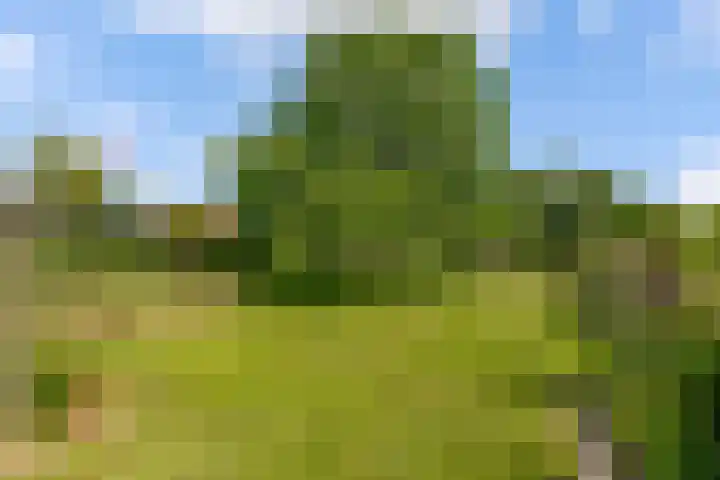 Oostrumsdijkje 3 Houten thumbnail 51