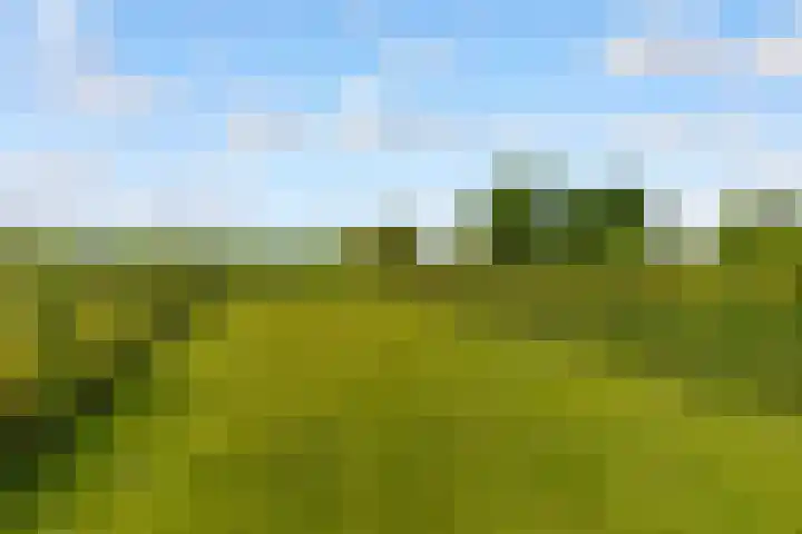 Oostrumsdijkje 3 Houten thumbnail 52
