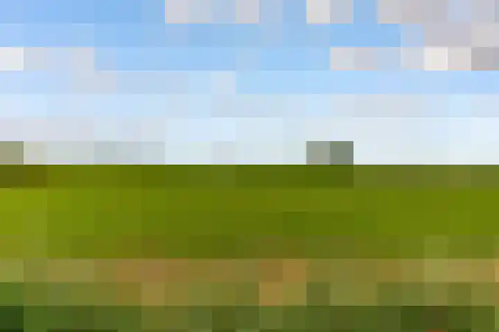 Oostrumsdijkje 3 Houten thumbnail 53