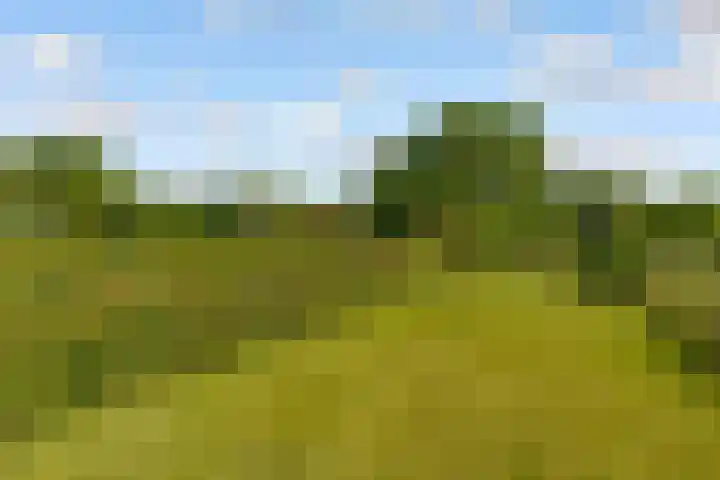 Oostrumsdijkje 3 Houten thumbnail 54