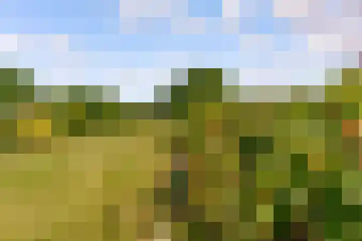 Oostrumsdijkje 3 Houten thumbnail 55