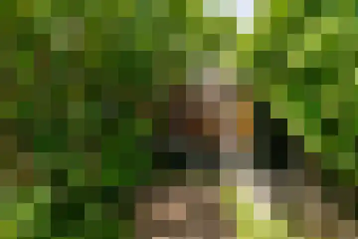 Oostrumsdijkje 3 Houten thumbnail 56