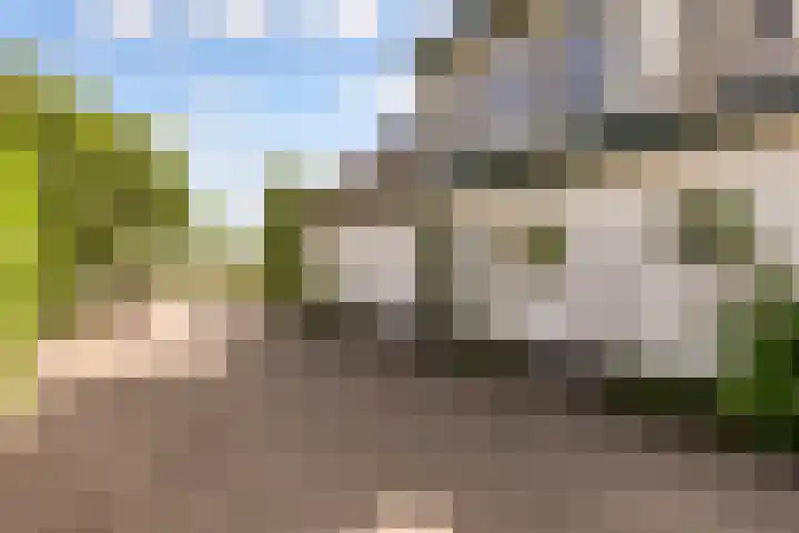 Oostrumsdijkje 3 Houten thumbnail 6