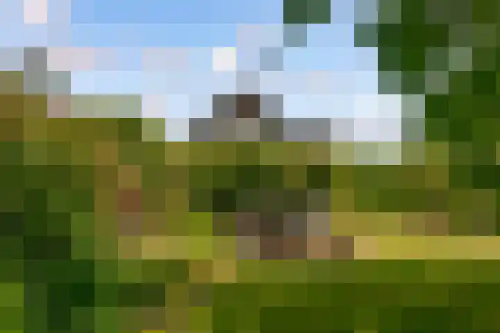 Oostrumsdijkje 3 Houten thumbnail 60