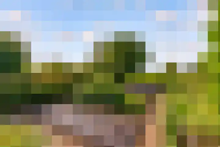 Oostrumsdijkje 3 Houten thumbnail 61