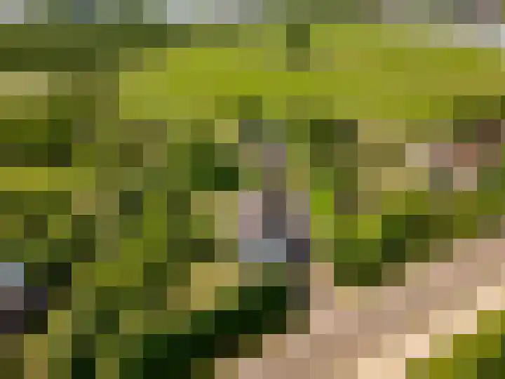 Oostrumsdijkje 3 Houten thumbnail 62