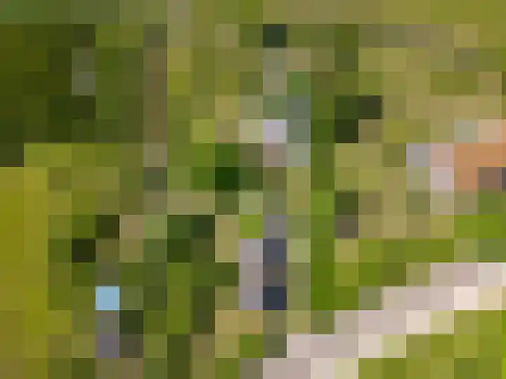 Oostrumsdijkje 3 Houten thumbnail 63