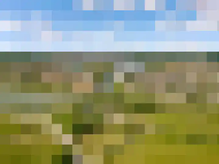 Oostrumsdijkje 3 Houten thumbnail 64