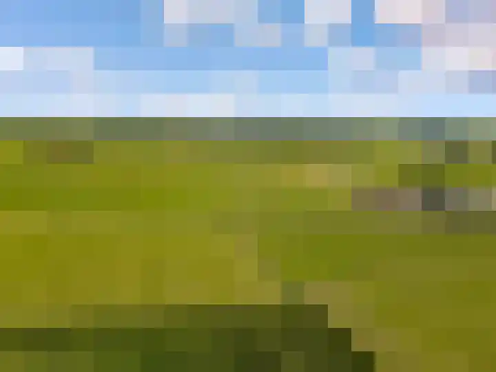 Oostrumsdijkje 3 Houten thumbnail 65