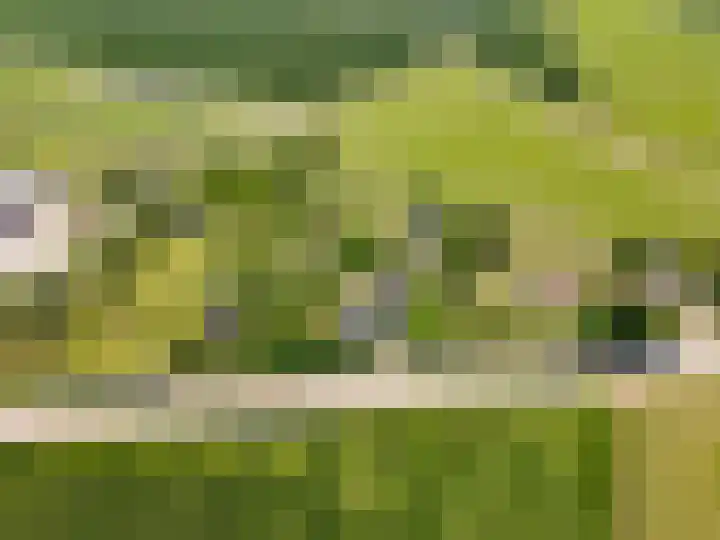 Oostrumsdijkje 3 Houten thumbnail 66