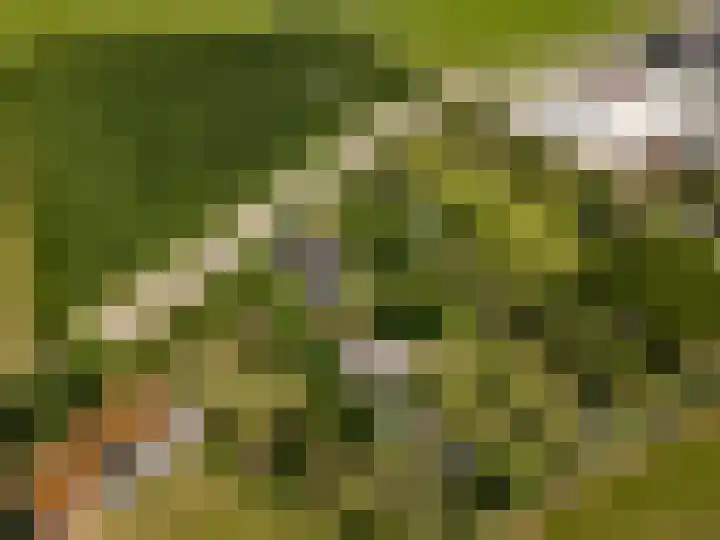 Oostrumsdijkje 3 Houten thumbnail 67