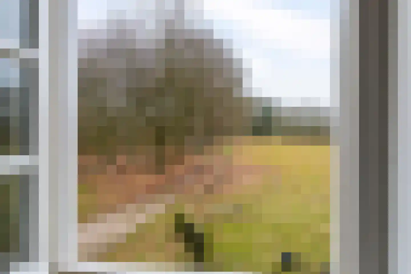 Oostrumseweg 15 Geijsteren thumbnail 33