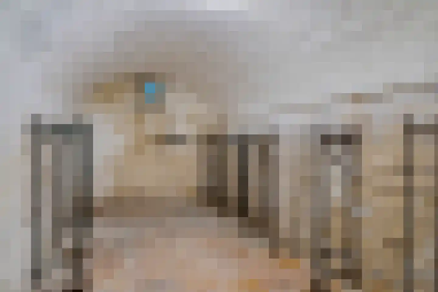 Oostrumseweg 15 Geijsteren thumbnail 35