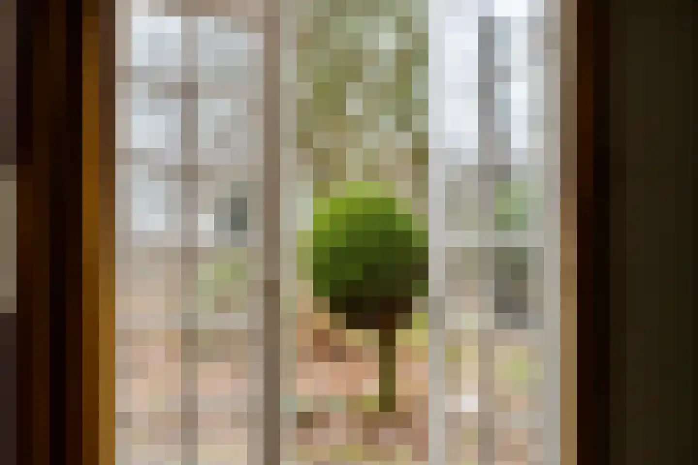 Oostrumseweg 15 Geijsteren thumbnail 36