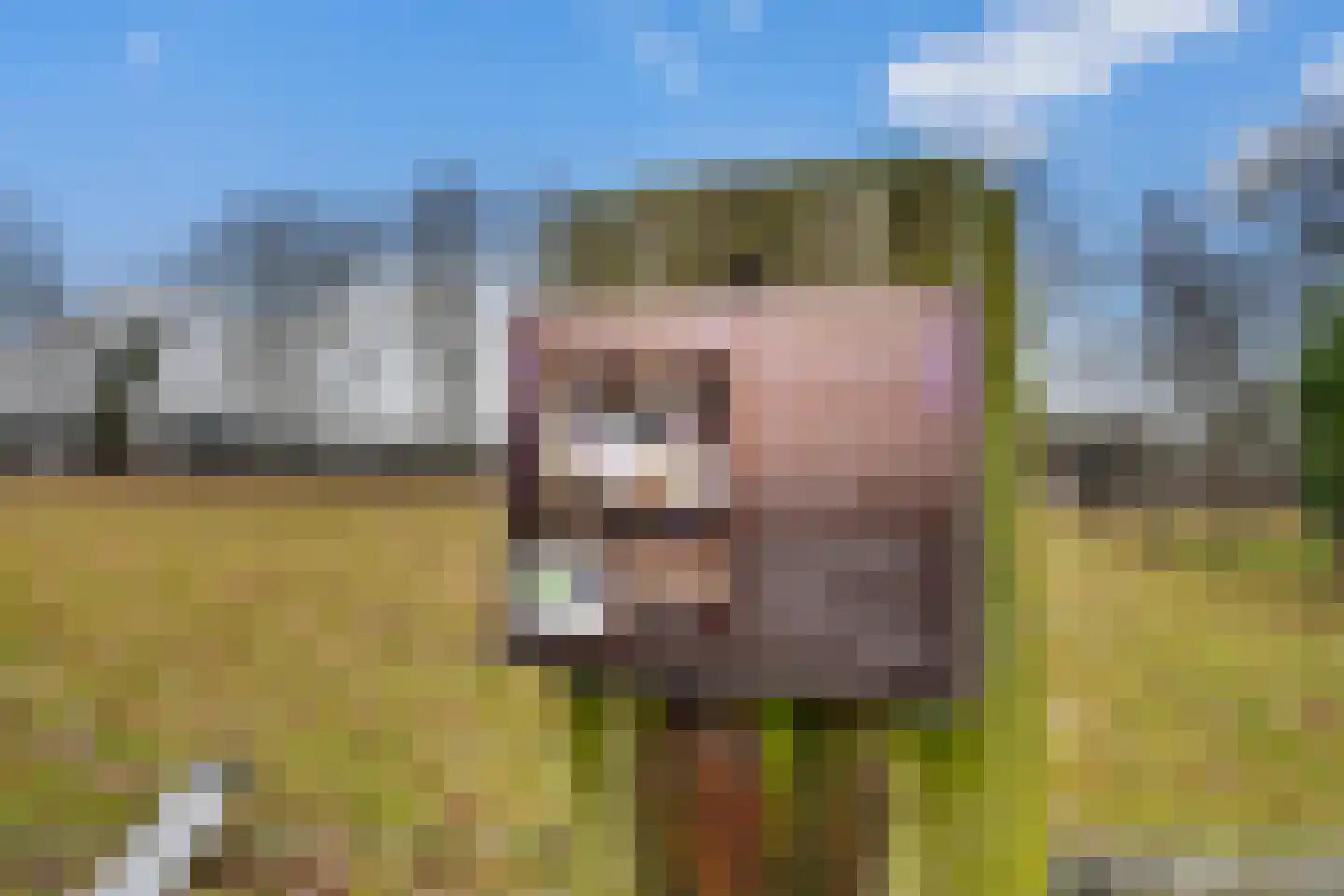 Oostrumseweg 15 Geijsteren thumbnail 37