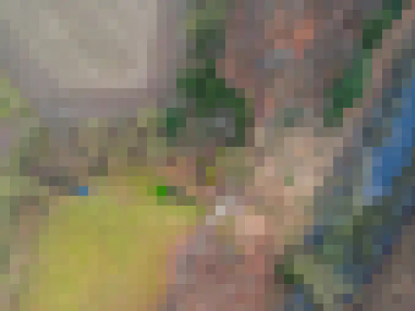 Oostrumseweg 15 Geijsteren thumbnail 38