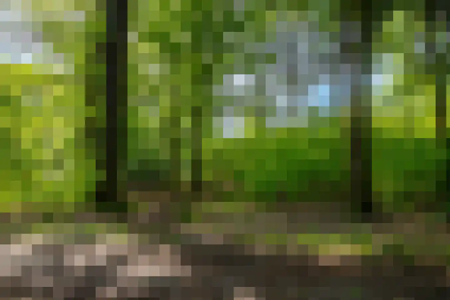 Oostrumseweg 15 Geijsteren thumbnail 40