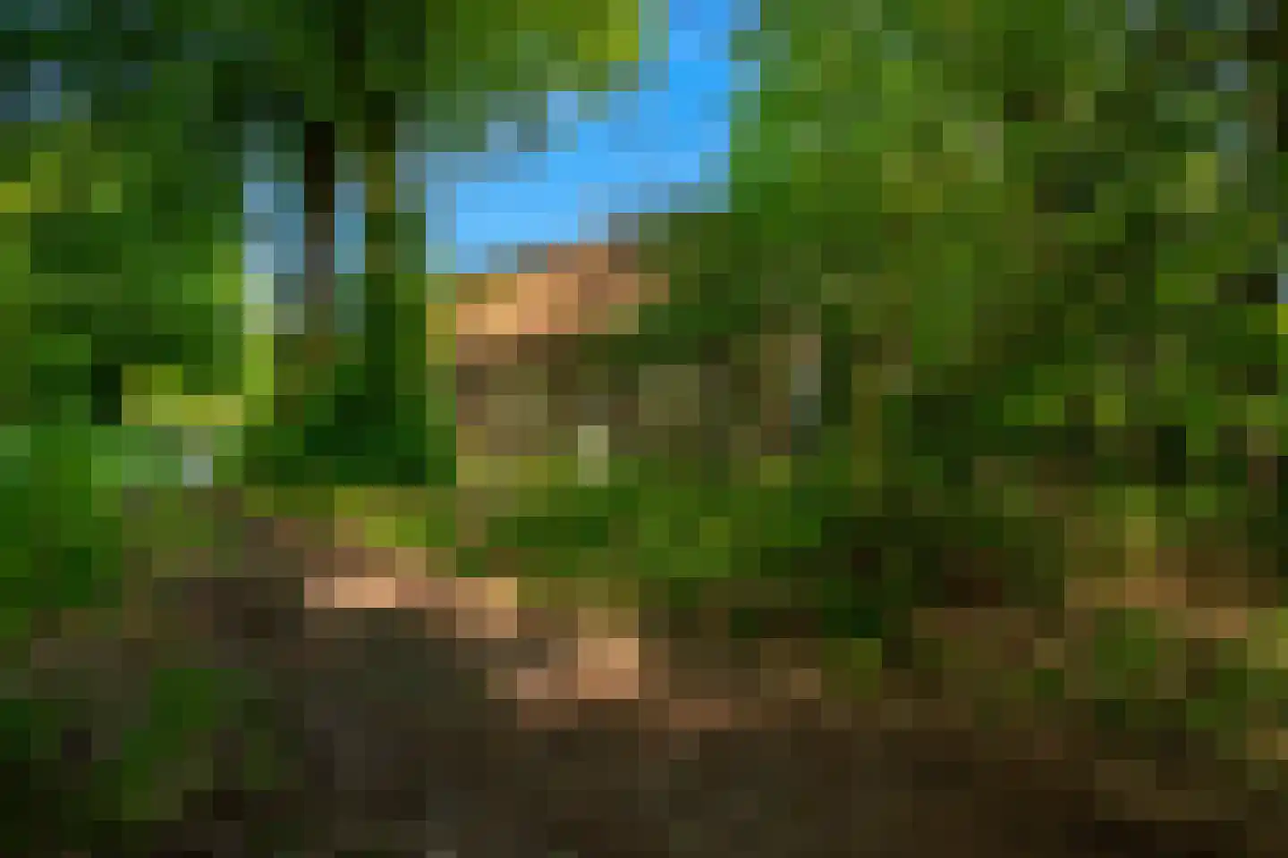 Oostrumseweg 15 Geijsteren thumbnail 41