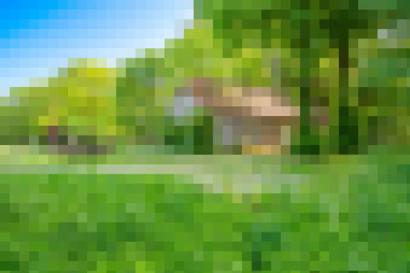 Oostrumseweg 15 Geijsteren thumbnail 42