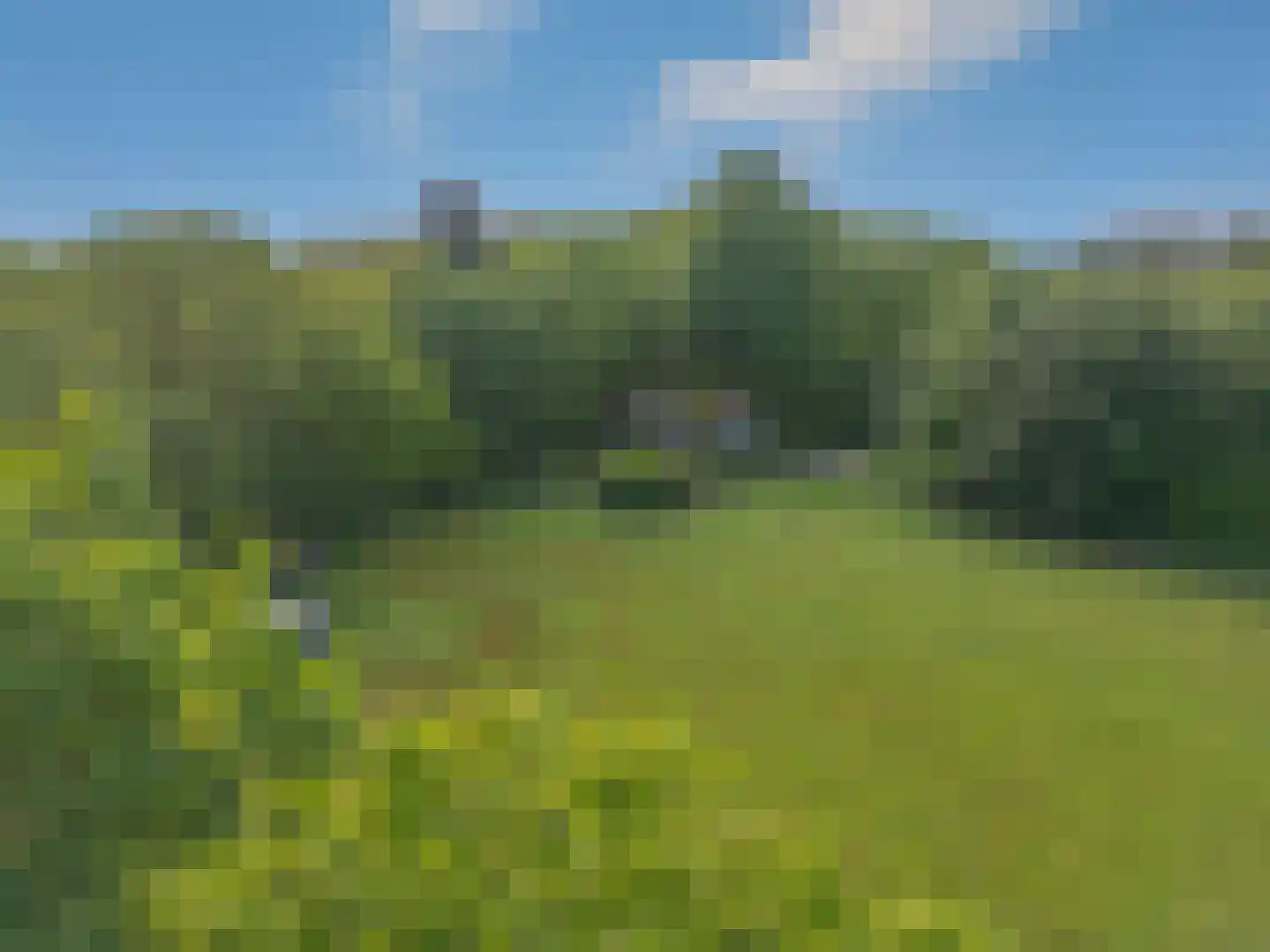 Oostrumseweg 15 Geijsteren thumbnail 43