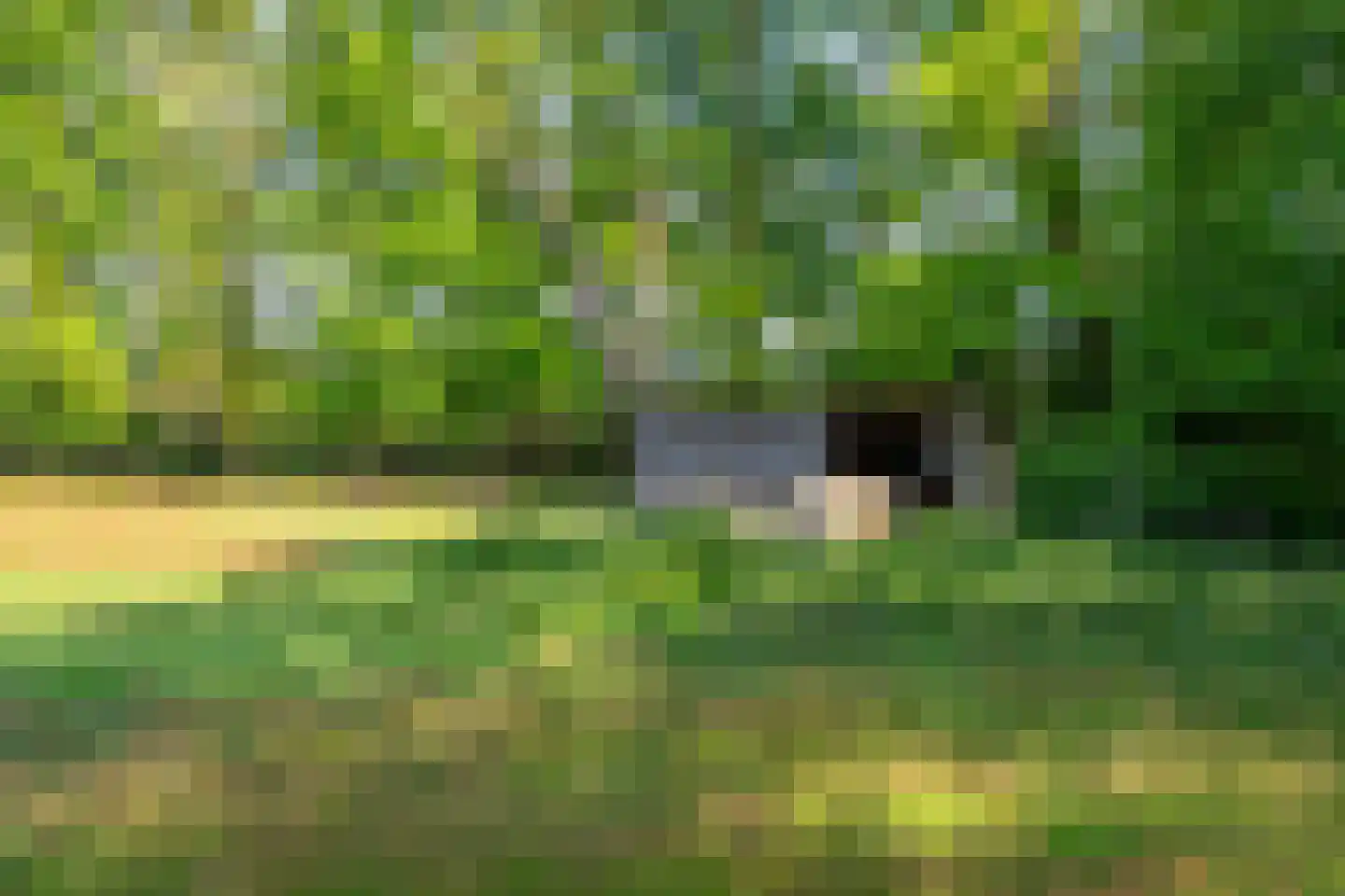 Oostrumseweg 15 Geijsteren thumbnail 45