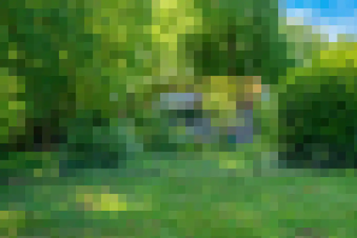 Oostrumseweg 15 Geijsteren thumbnail 46