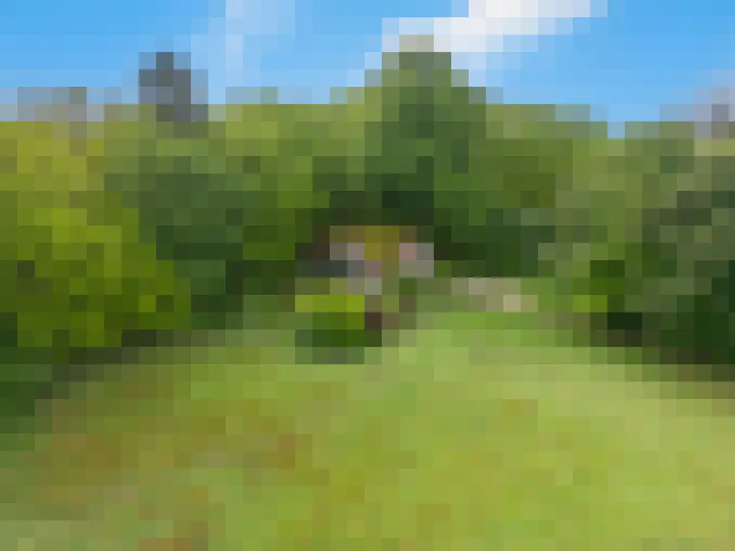 Oostrumseweg 15 Geijsteren thumbnail 48