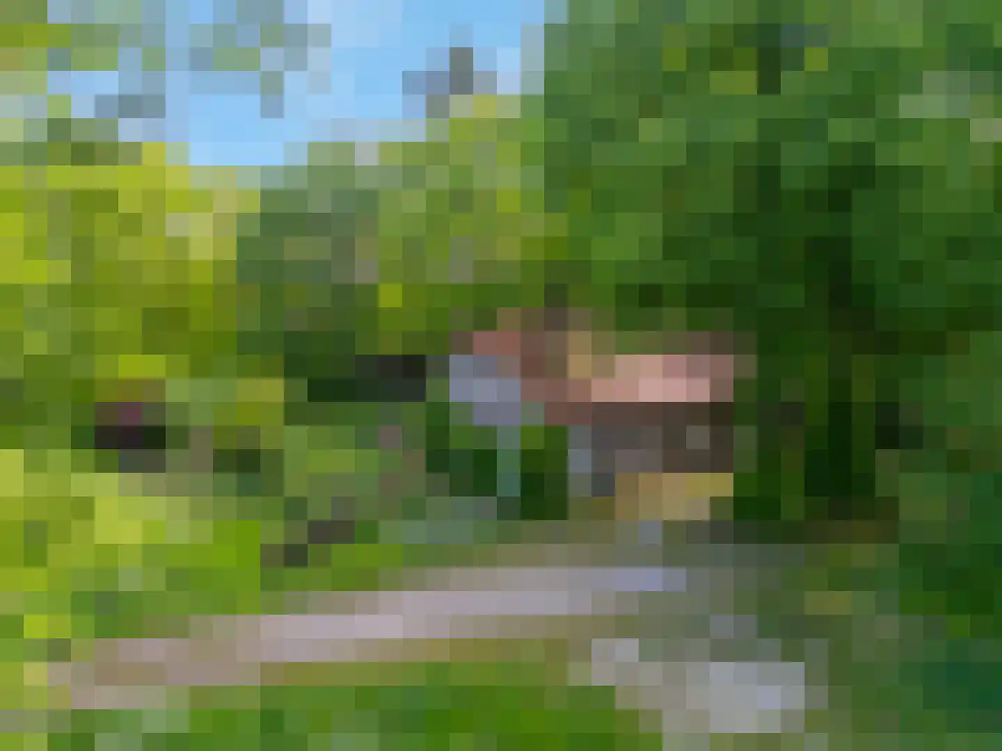 Oostrumseweg 15 Geijsteren thumbnail 49