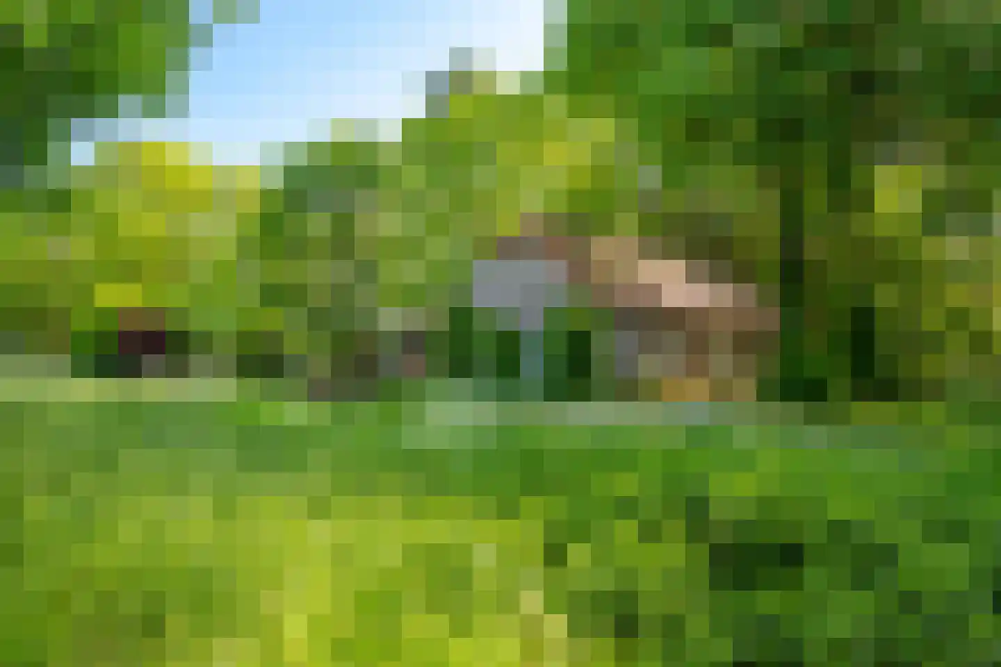 Oostrumseweg 15 Geijsteren thumbnail 50