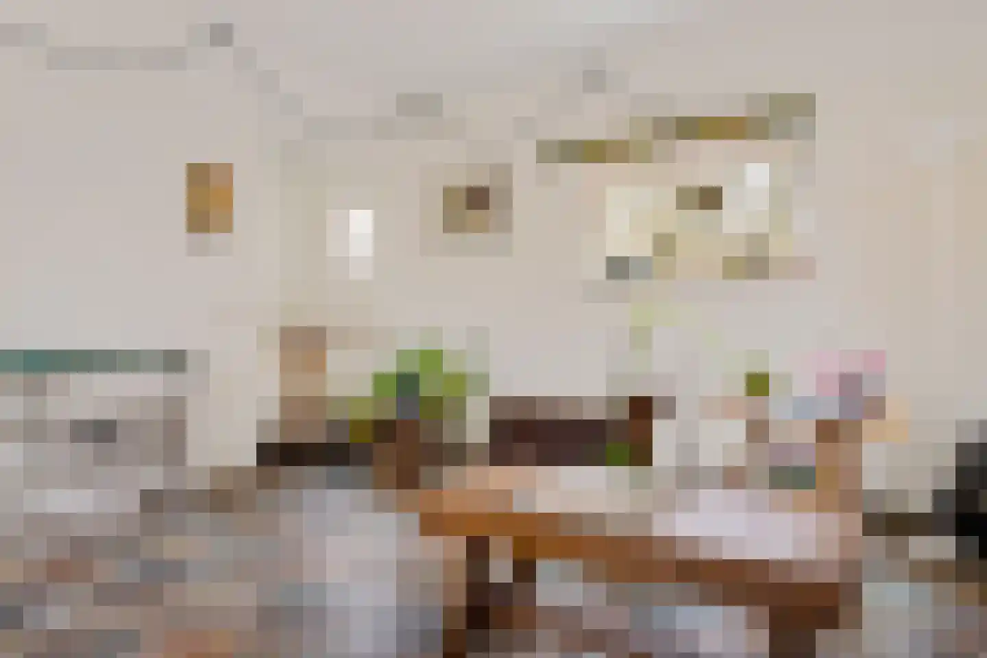 Oostrumseweg 15 Geijsteren thumbnail 6