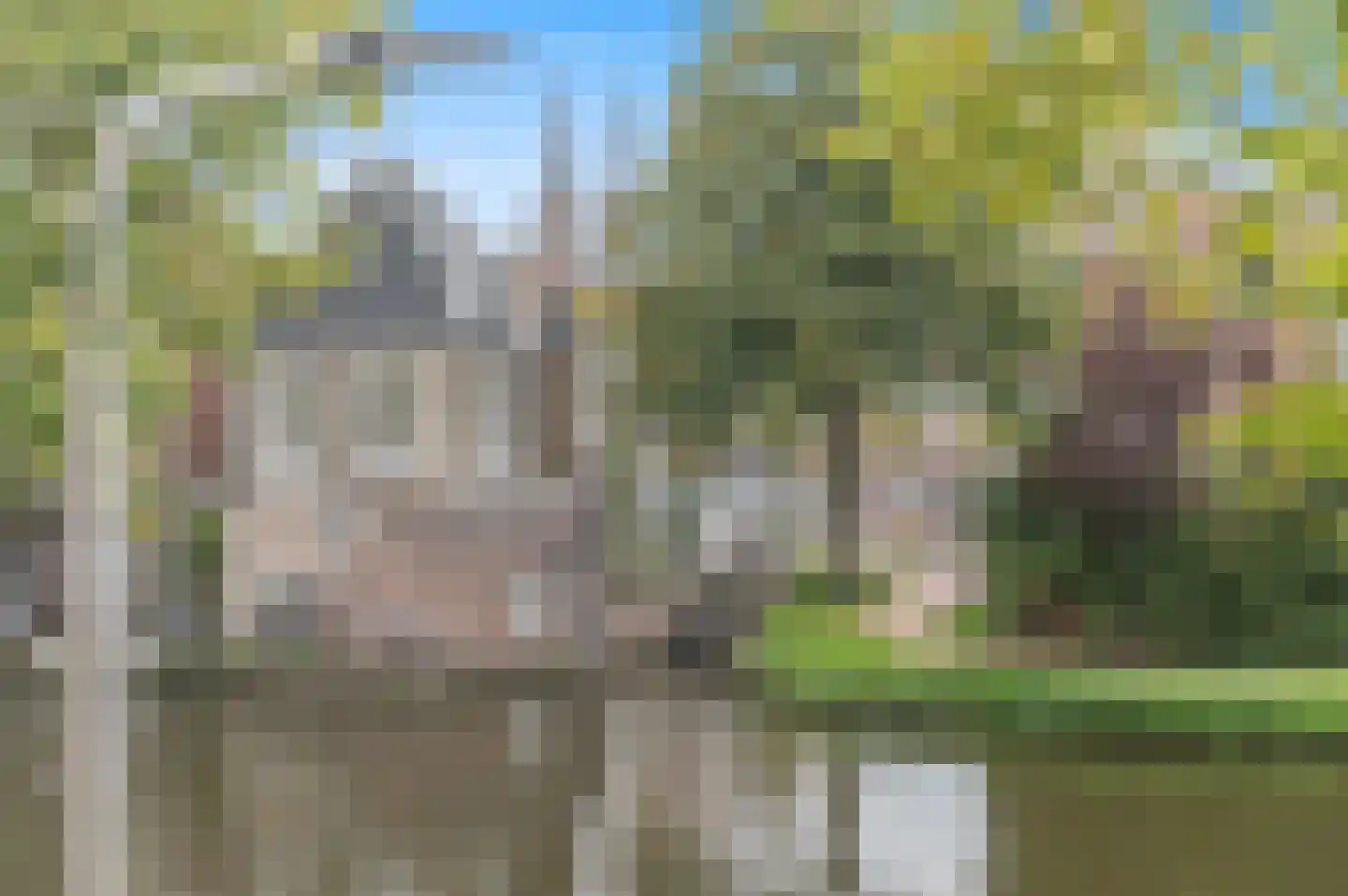 Oostsingel 117 Delft thumbnail 35