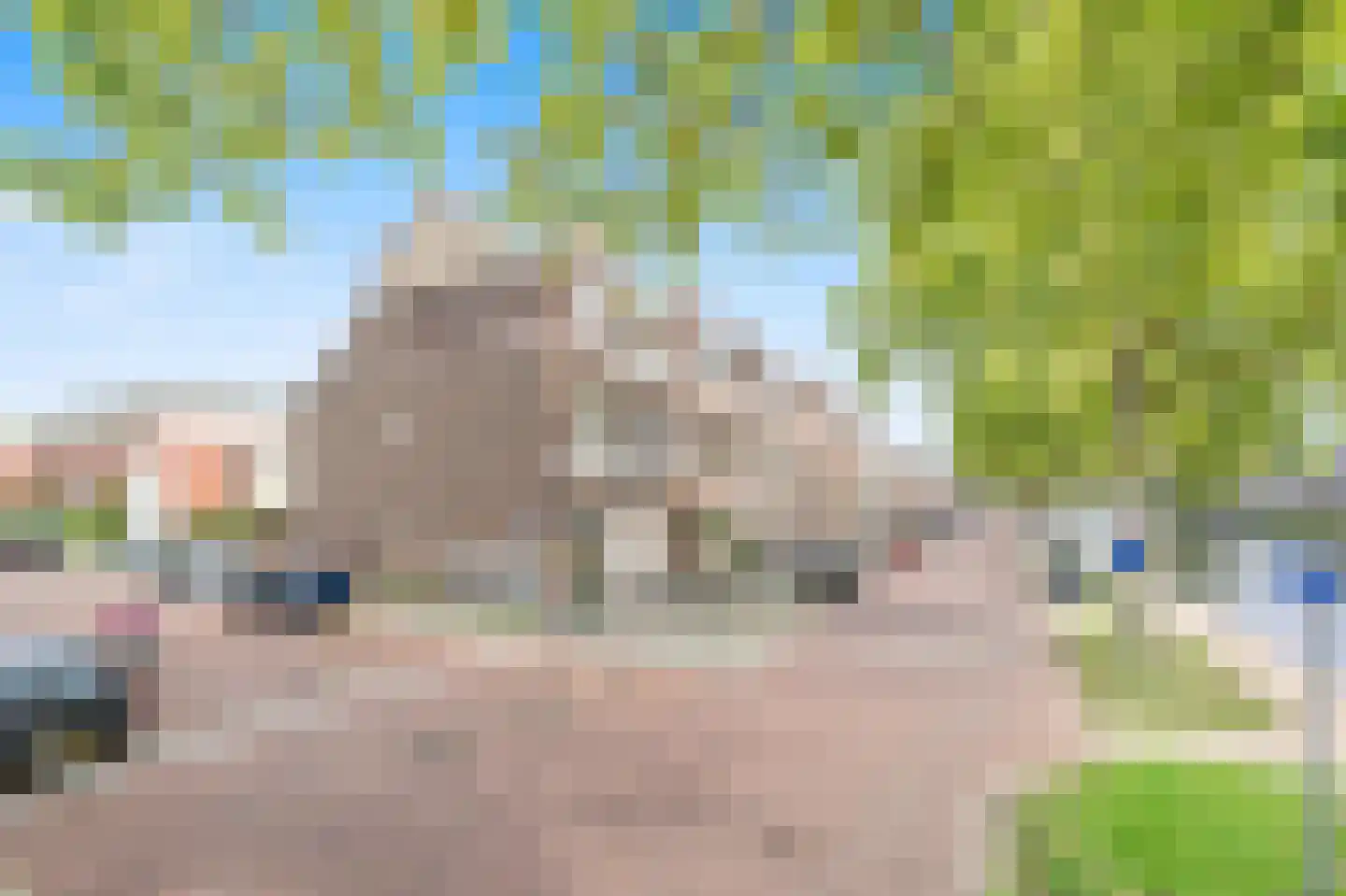 Oostsingel 117 Delft thumbnail 4