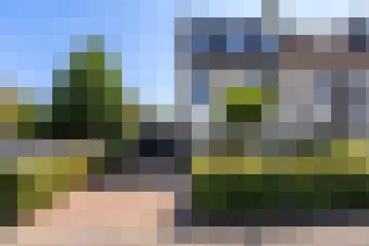 Oostsingel 12 Delft thumbnail 31