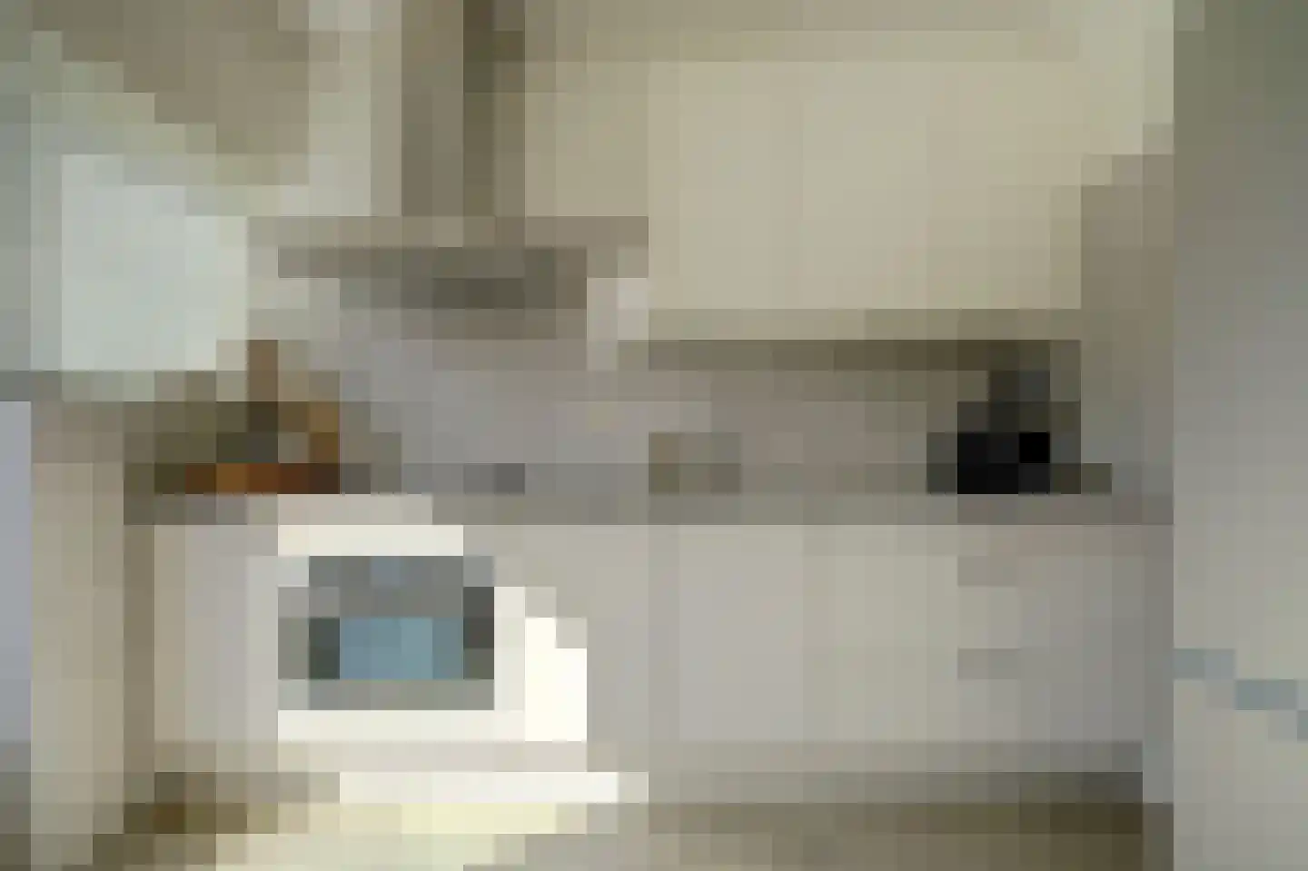 Oostsingel 122 A Goes thumbnail 10