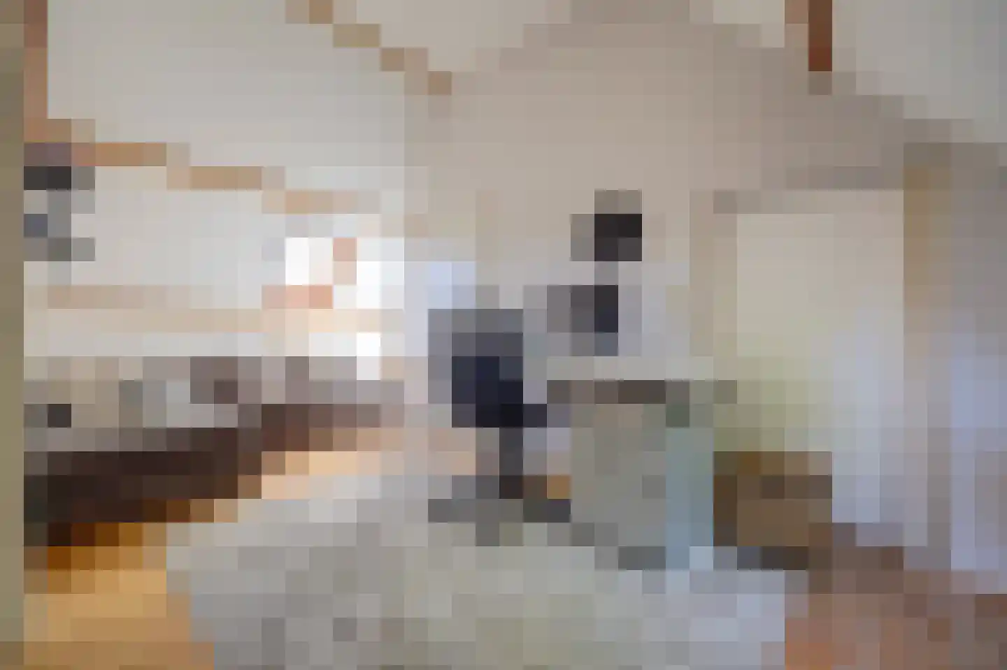 Oostsingel 122 A Goes thumbnail 18
