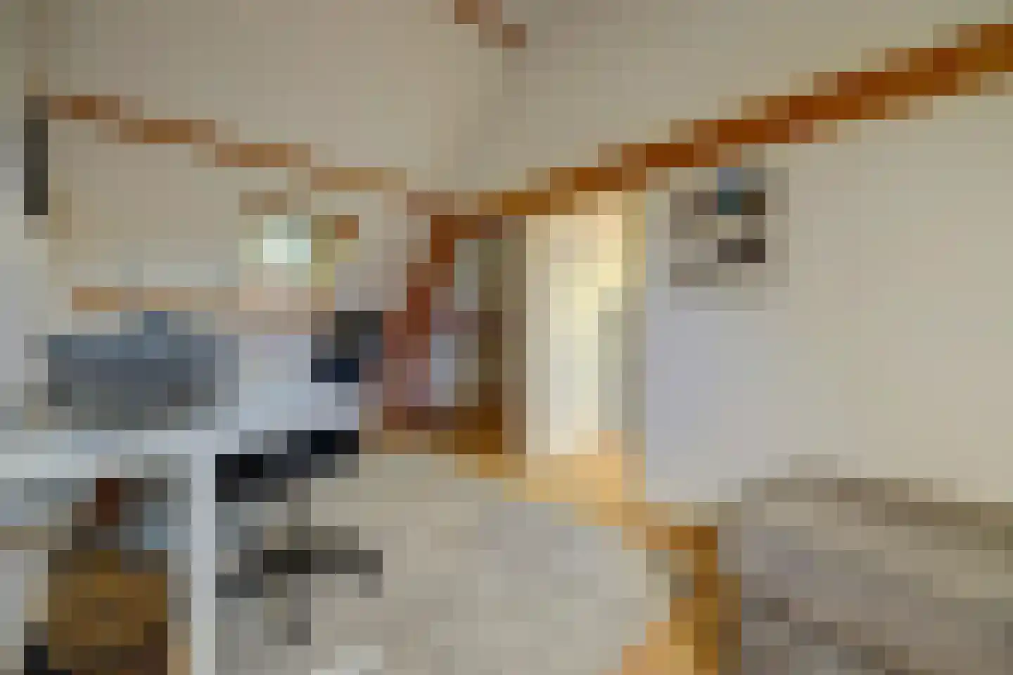 Oostsingel 122 A Goes thumbnail 19