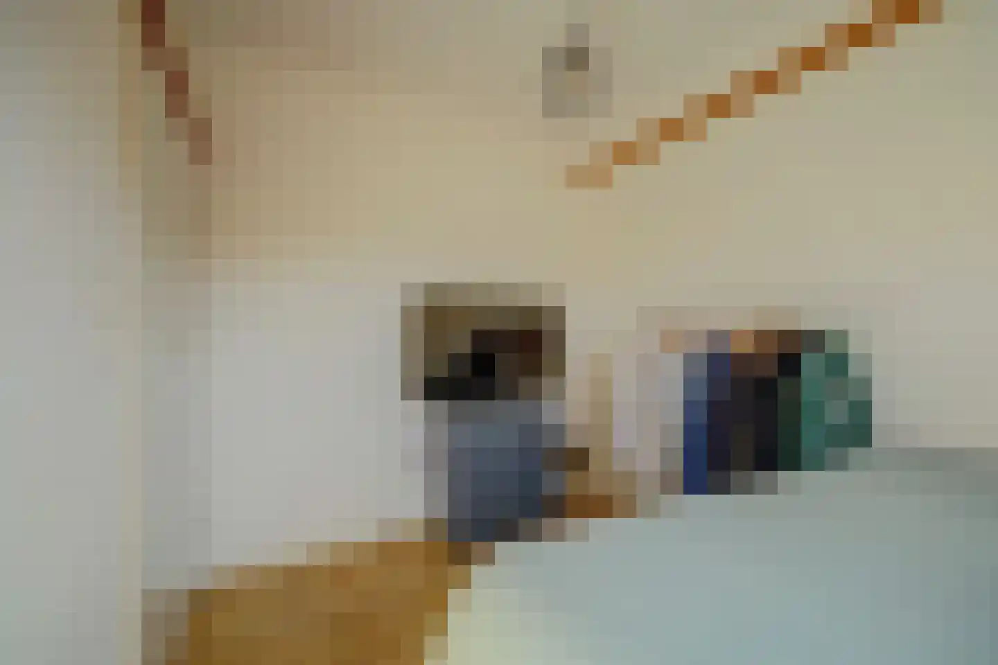 Oostsingel 122 A Goes thumbnail 22
