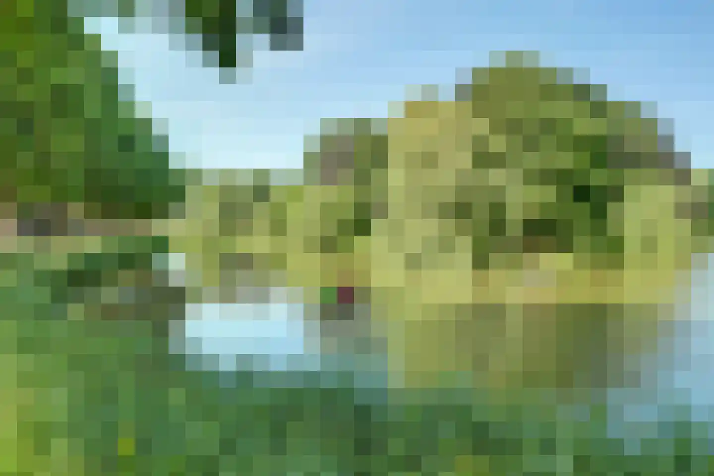 Oostsingel 122 A Goes thumbnail 28