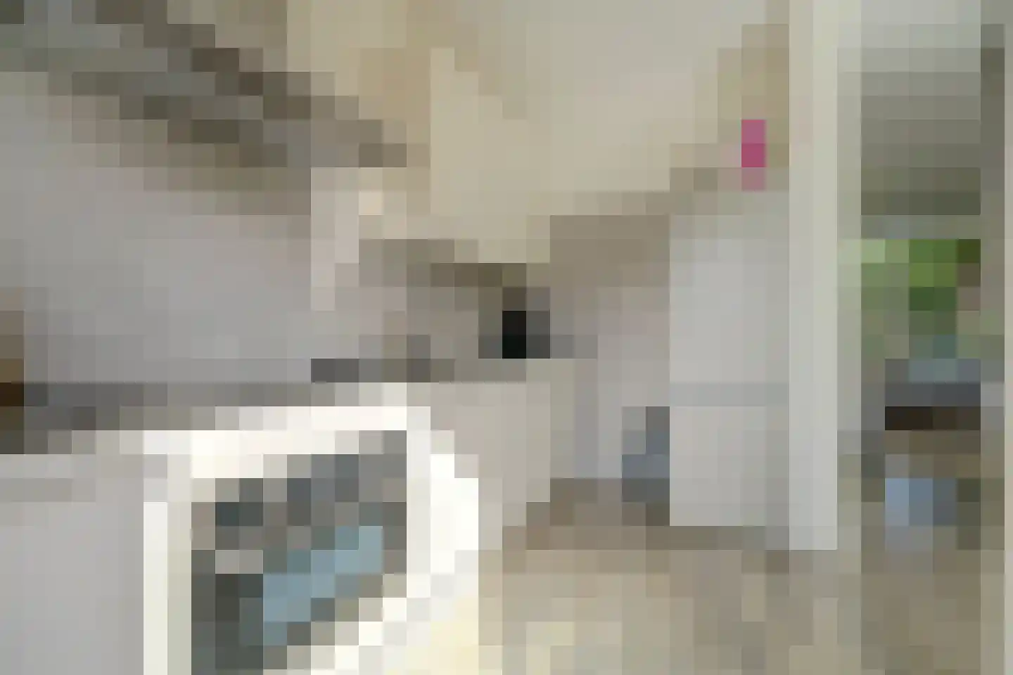 Oostsingel 122 A Goes thumbnail 9