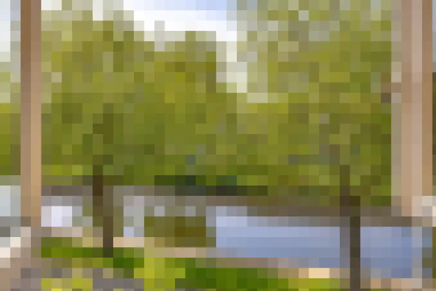 Oostsingel 123 Delft thumbnail 42